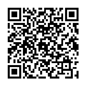 就因为杨开的小乾坤收了一位八品和一位妖族大帝二维码生成