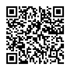 就因为这个动物园的领导们一个个吓得差点尿裤子二维码生成