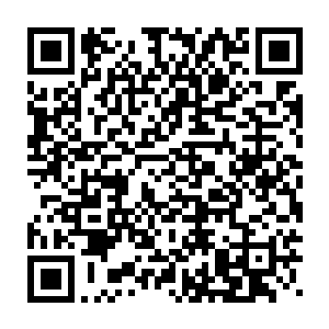 就在三个人死去的刹那间一股澎湃的能量直接朝着龙傲天的体内涌去二维码生成