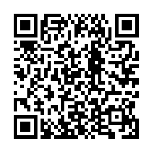 就在他们以为他们联手一击至少也能挡住拉达曼迪斯片刻二维码生成