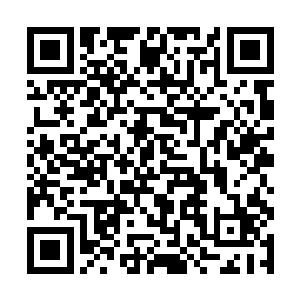 就在俩人马上就迈入外面高大的树木上的阴影的时候二维码生成