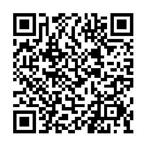 就在刚才杨奇夫的妻子邱楚倩亲自给我打了电话二维码生成