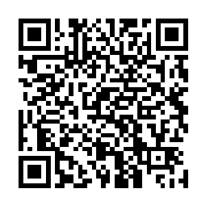 就在卡尔认为他们能够躲入房屋之中获得短暂的喘息之机时二维码生成