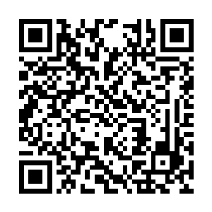 就在夏云杰与林滔天一起跟着林尚朝大门外走去时二维码生成