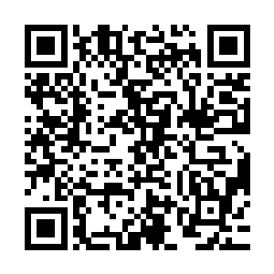 就在妮娜在思考要不要给白兰一爪子帮助他也忘了那件事的时候二维码生成