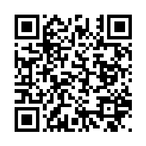 就在它们想爆破蔓藤编制而成的网时二维码生成