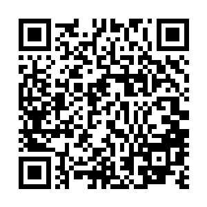 就在它的牙齿眼看就可以撕裂到对面那个可怕生物的一刹那二维码生成