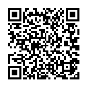 就在容家顶不住李家的势头眼看着要败落下去的时候二维码生成