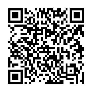 就在封不觉带着凯文准备抢走一辆停在庭院中的汽车时二维码生成