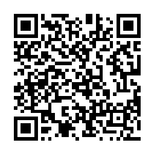 就在小苍河河谷中每天无所事事到只能坐而论道的同时二维码生成