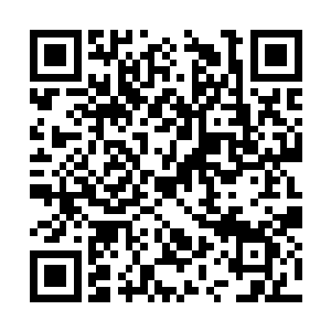 就在少女作为傻瓜二人组成员之一伏案写信的此刻二维码生成