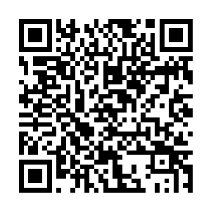 就在张海潮想要用手上的钢爪撕碎第六个人的时候二维码生成