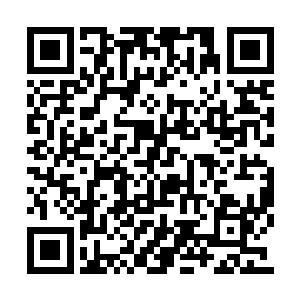 就在念念腰酸背痛的想着要不要推门而入的时候二维码生成