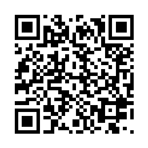 就在我努力地想要解析法则海的时候二维码生成