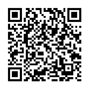 就在我干笑着开始觉得有点儿尴尬的时候雅文终于开口说道二维码生成
