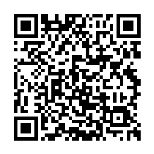 就在我手中的枣木剑要朝着刘佳身上劈去的时候二维码生成