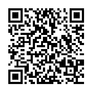 就在所有天文学家和生物学家都被这个问题苦苦困扰二维码生成