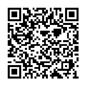 就在楚旬几乎已经快要将那血光和金芒吞噬殆尽二维码生成