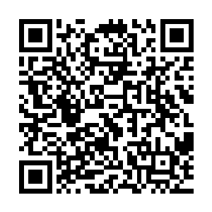 就在楚旬等着修罗斗场主办方将他赢得的那部分奖金送来之时二维码生成