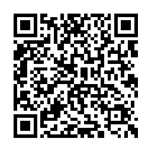 就在沈丽缇和杜海琼紧紧抓着胸口那块桃木符时二维码生成