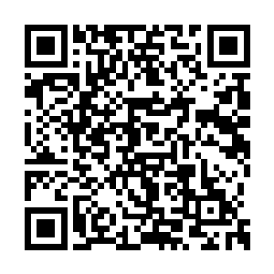 就在洛天星一本正经地等着凌煦做出回应的时候二维码生成