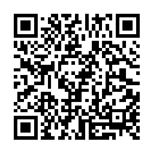 就在禁卫军城卫军面前肆无忌惮的攻打元帅府邸二维码生成