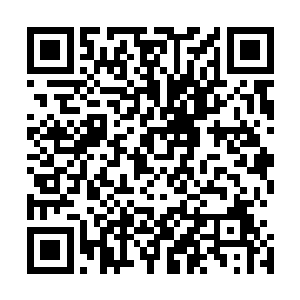 就在秦渭的经纪人杜成邦代为召开的新闻发布会的一天之后二维码生成