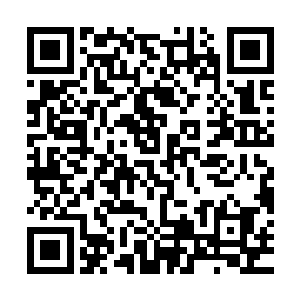 就在红路领军的右肩膀因为陡然发力而出现一丝丝的变化的时候二维码生成
