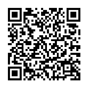 就在轻罗公子都有点嫉妒这位马师兄的修为更进了一步的时候二维码生成