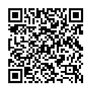 就在这个时候兽医突然跟我们确认了花卷就是宫萍的狗二维码生成