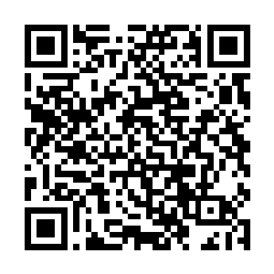 就在这时所有人都清楚的听到了一声骨头断裂的声音二维码生成