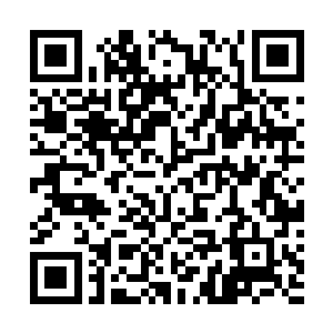 就在这时老人身边的小男孩拉了拉老人的衣服然后开口道二维码生成