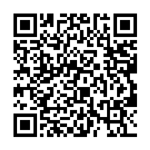 就在那丛林蜜熊一个猛扑要将兵器持有者扑倒的时候二维码生成