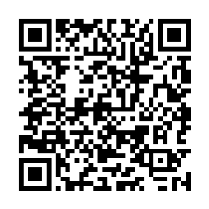 就在那玄武王咬着那颗珠子逃出虚空裂缝的一刹那二维码生成