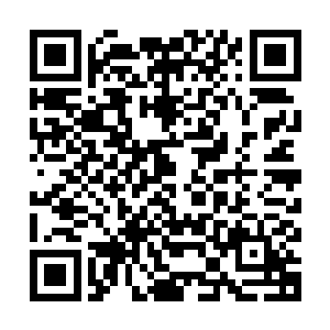 就在那黑红漩涡眼看就要把那斩仙飞刀给彻底笼罩和碾碎的时候二维码生成