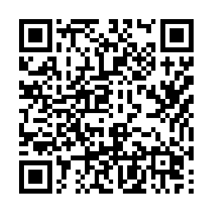 就在鬼神军的将士认为曹魏军的攻势将会告一段落二维码生成