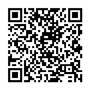就在黑暗教皇在想着事情的时候忽然屋中传来一声惨叫声二维码生成