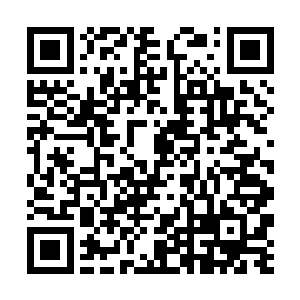 就大致完成了从一片太古菌毯到一个人类部落的推进二维码生成