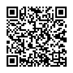 就好像他不是雨果ˉ兰开斯特而依旧是陈雨果一样二维码生成