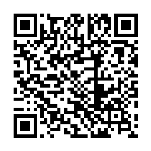 就好像伊莎贝拉叫他们也都叫总统先生或者首相先生一样二维码生成
