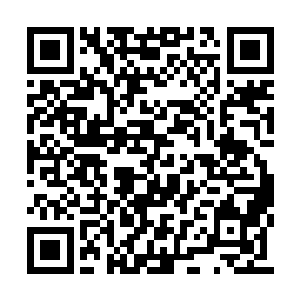 就好像你前几次修为进阶产生的紫色巨人的虚影二维码生成