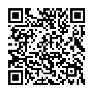 就好像你当年剥走了哈特曼先生对你的信任一样二维码生成