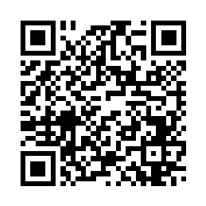 就好像变成了两只浴火重生的凤凰二维码生成