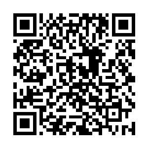 就好像在这里并没有三个年轻人每晚翻墙来训练一样二维码生成