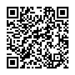 就好像她即将要面对的并不是一直以来看着自己长大的师傅二维码生成