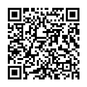 就好像是一位粉丝见到自己崇拜多年的偶像才会流露出来的尊敬二维码生成