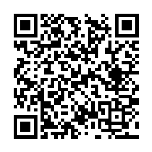 就好像是十多个第五档的人在这里一起交手了一样二维码生成