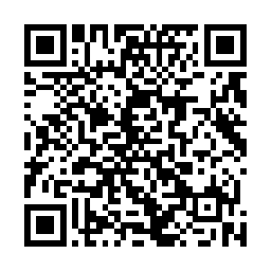 就好像是有一个武侯强者一拳砸烂了他们的护山大阵一样二维码生成