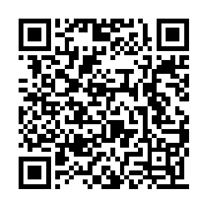 就好像是有一条隔带隔断了小嘴口那边的滇池水二维码生成