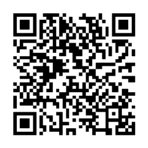 就好像是有什么巨大无比的生物正在急速靠近一样二维码生成